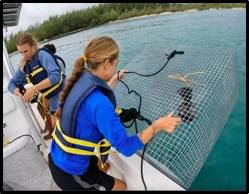 Students set up and deploy fish traps as part of their fish physiology research class.